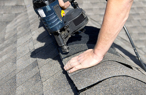 Best Skylight Installation and Repair  in Union, MS